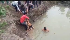 नाले में नहाने के दौरान डूबने से 03 मासूमो की मौत,एसडीएम ने की पुष्टि